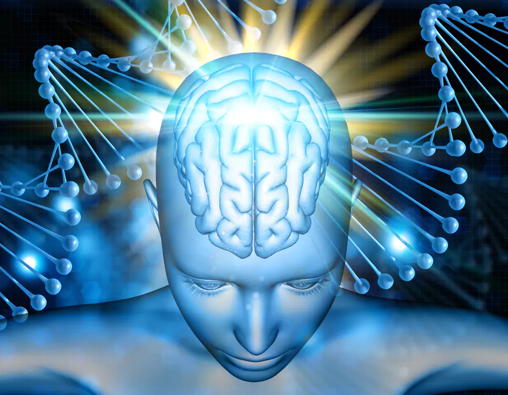 neuro_1